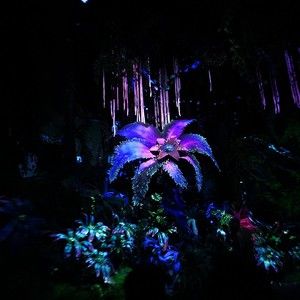 Meet your Posher, Posh